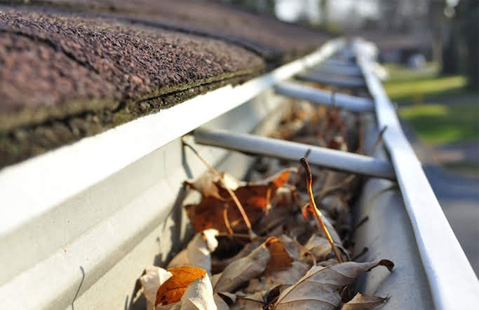 photo of leaves in a gutter in Milwaukie, Oregon